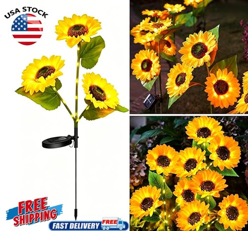 Lights sunflower outdoor - sunflower,