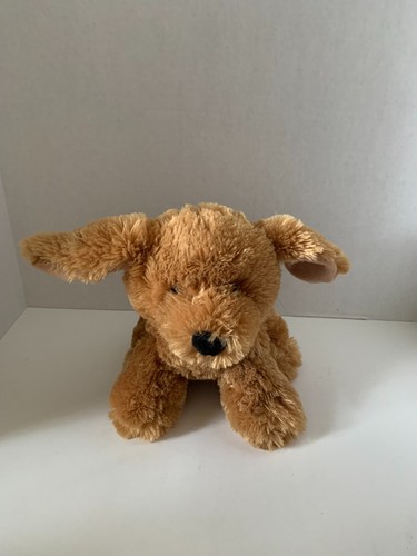 Chrisha brown puppy - puppy, dog