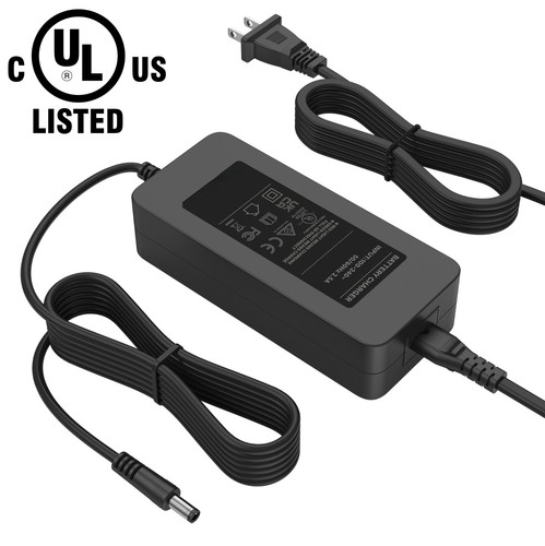 Charger for lectric - charger,