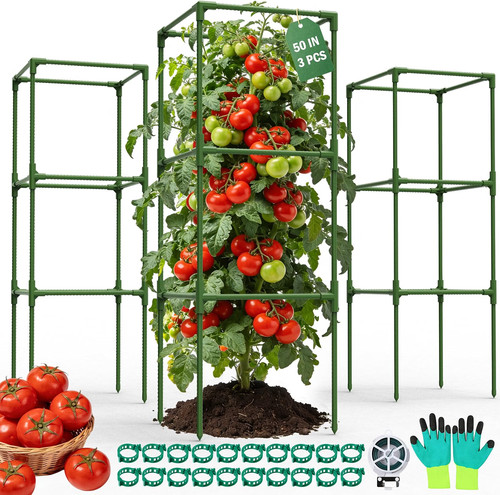 Pack square tomato - tomato, cages