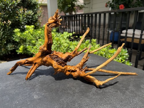 Driftwood spiderwood aquariums - spiderwood,
