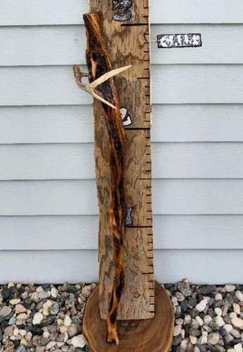 Diamond willow walking stick - diamond,