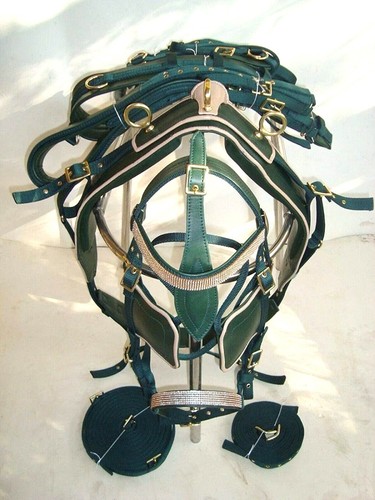 Nylon webbing driving - webbing, harness