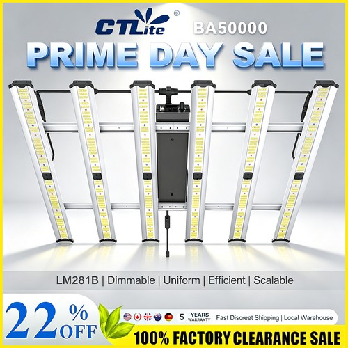 Spider 5000w dimmable - 5000w,