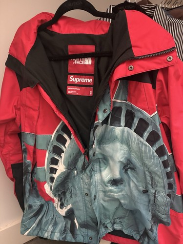 Supreme the north face - x,