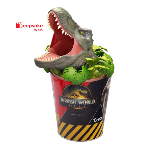 Popcorn bucket with the - bucket,
