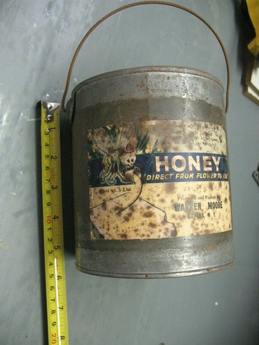 Antique honey tin - honey,