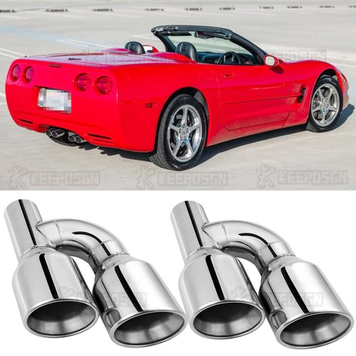 Dual exhaust pipe tip - dual,