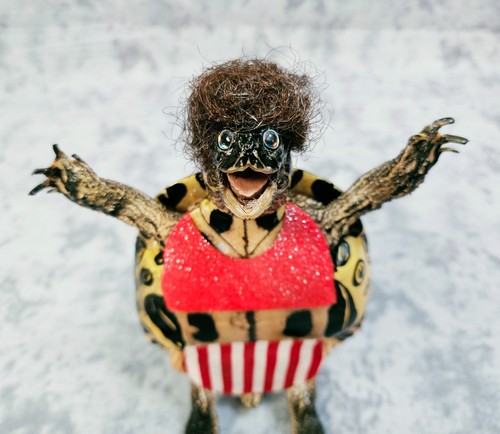 Real turtle taxidermy - real, happy