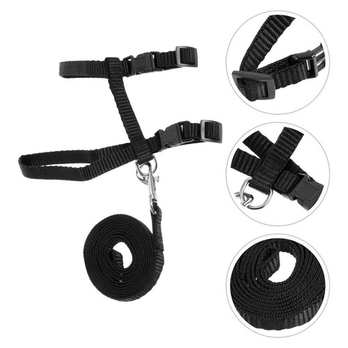 Baby rabbit harness leash - baby,