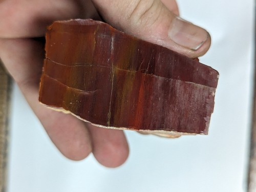Beautiful large red - red, yellow