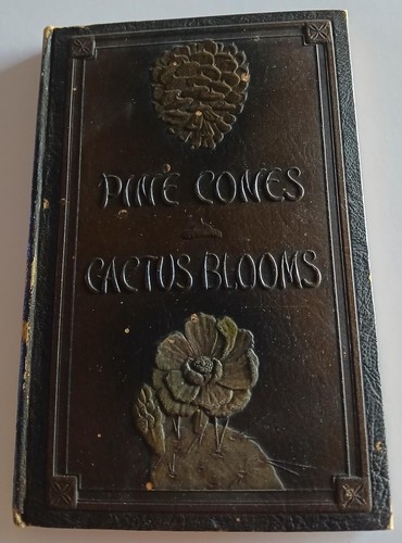Pine cones and - cones, cactus