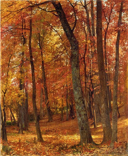 Oil painting autumn landscape