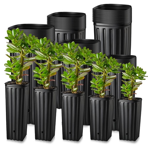 100 pcs tall - tall, pots