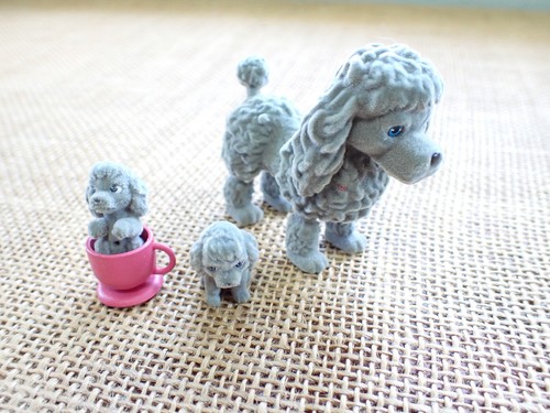 Puppy pocket dogs - in, my