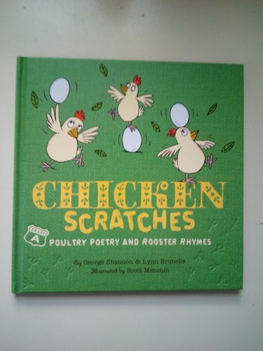 Chicken scratches poultry - scratches,