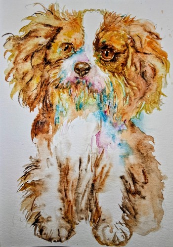 Dog art cavalier king charles - art,cavalier,