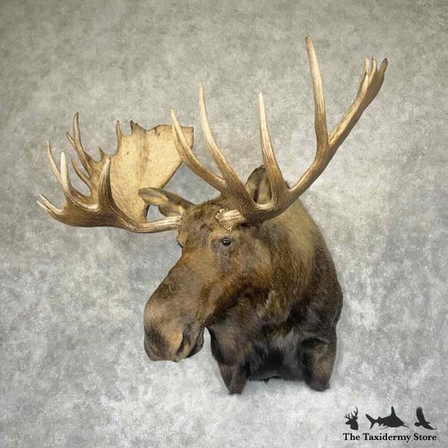 31964 alaskan yukon - #31964,