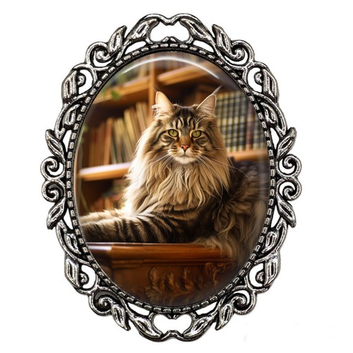 Exotic longhair maine - exotic,