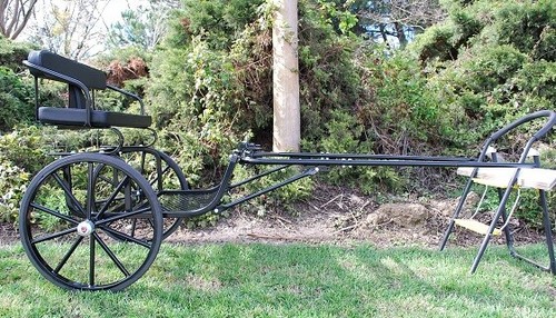 Entry mini horse cart - horse,