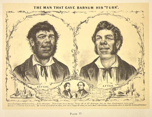 Barnum shaving horse shoeing - barnum,