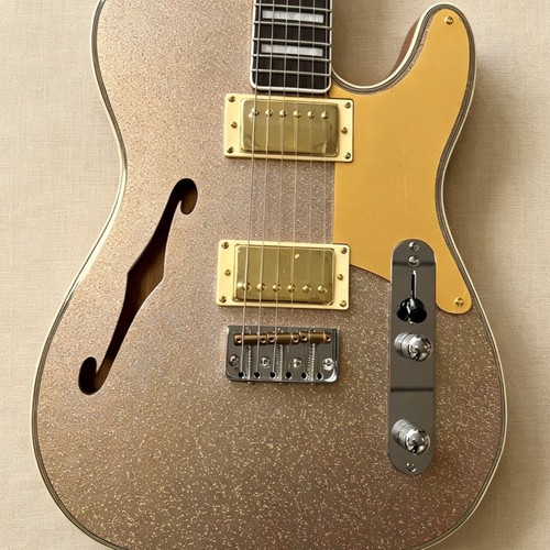 Custom thinline semi hollow - thinline, semi-hollow