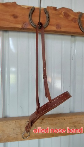 New horse tack tie - down, nose