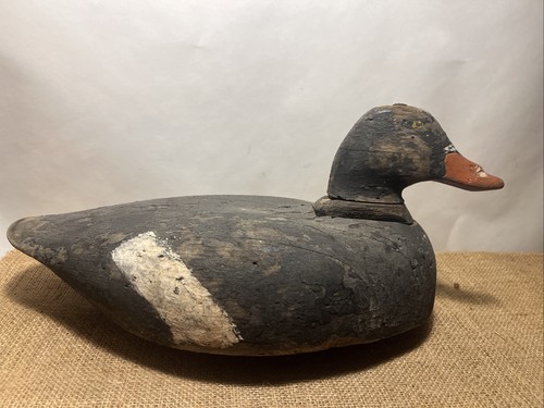 Scoter duck decoy - decoy, vintage