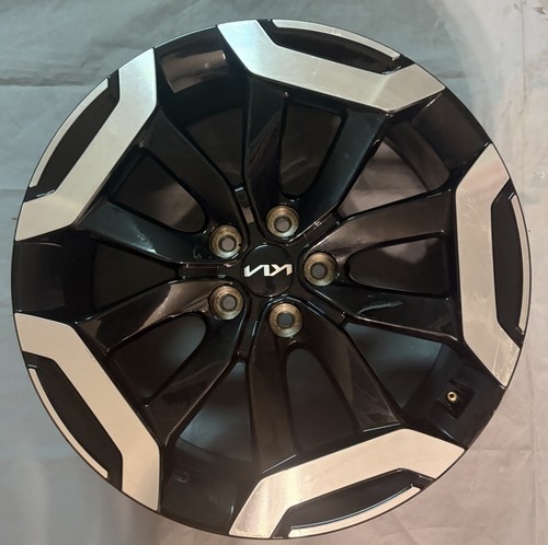 Oem 2025 2026 kia telluride - 2025,