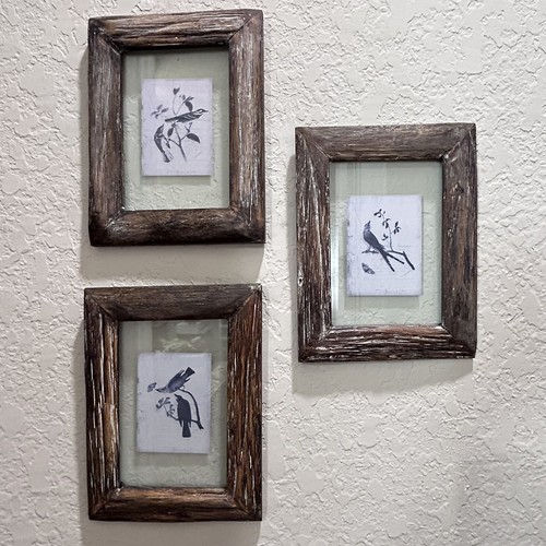 Audubon octavo birds of - 3,