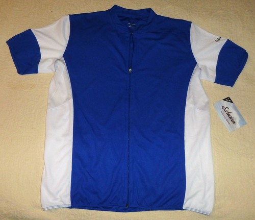 Large men schwinn - large, blue