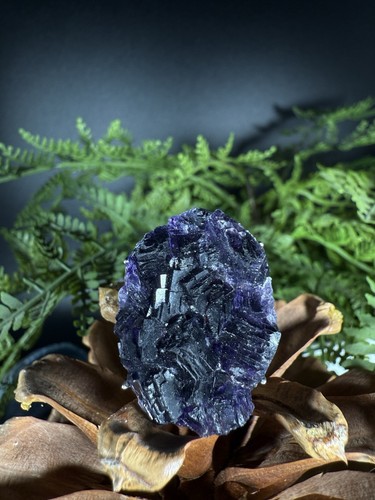 Amethyst ring jewelry unique - ring, jewelry,