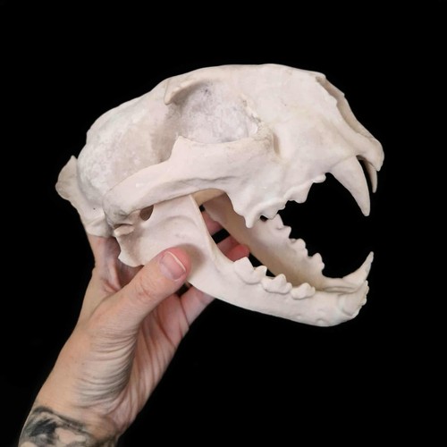 Replica resin mountain - , lion