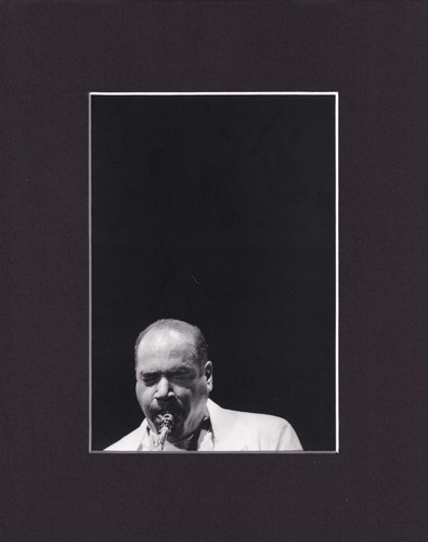 8x10 matted print - print, art
