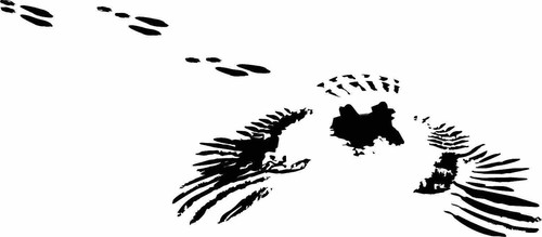 Owl lunch hunting wings - lunch/,