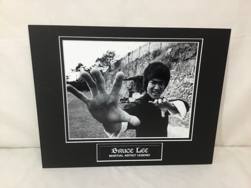 Bruce lee 11x14 - bruce,