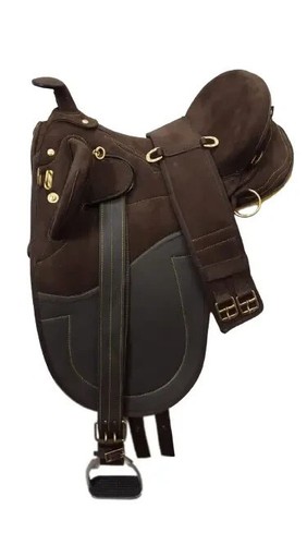 Australian stock horse - australian,