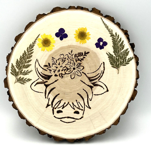 Wood burned art highland - burned, cow