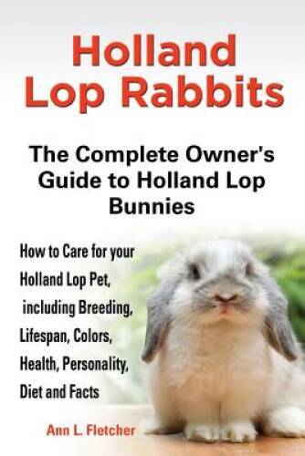 Holland lop rabbits - lop, the