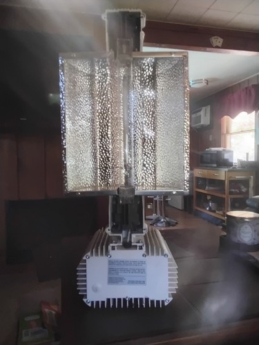 Gavita pro 1000e 208 - pro,