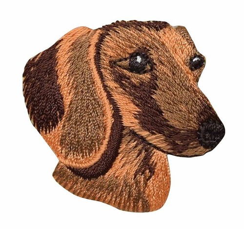 Dachshund head doxie - head,