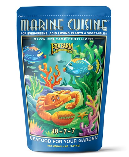 Ocean based plant - ocean,