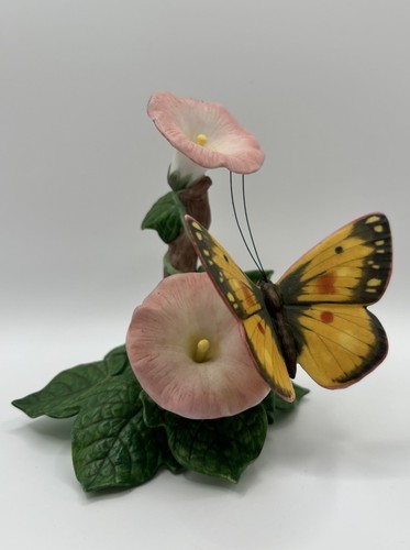 Lenox orange sulphur - lenox,