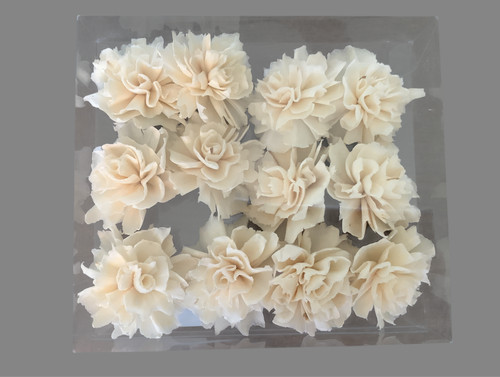 White wood flowers - white, carnations