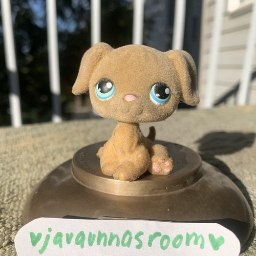 Hasbro littlest pet shop - hasbro,