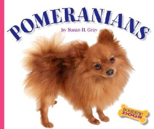 Pomeranians - (domestic, dogs)