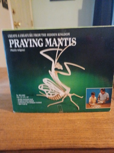 Praying mantis wooden skeleton - praying,