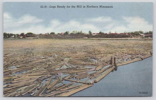 Logs ready for the - the, in
