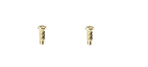 2pcs gold pits for - pits,