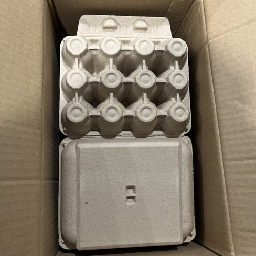 Blank natural pulp egg - blank,